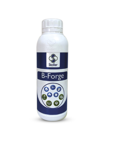 B-Forge / 1.5% Mo + 1% Co / Stoller / 1l, l