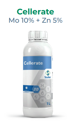 Cellerate / Mo 10% + Zn 5% / Stoller / 2026 / 1 lt